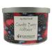 Star Hollow Candle Company Country Berry Hotcakes Scented Jar Candle Soy, Glass in Black/Red | 3.25 H x 5 W x 5 D in | Wayfair LSLJCBH