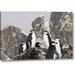 World Menagerie South Georgia Isl, Cooper Bay Chinstrap Penguins - Wrapped Canvas Photograph Print Canvas in Brown/Gray | Wayfair