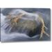 Ebern Designs South Georgia Isl Reindeer Antler by Don Paulson - Photograph Print on Canvas in Gray | 10 H x 16 W x 1.5 D in | Wayfair