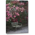 Winston Porter 'Sc, Charleston a Weathered Bench Under Azaleas' Photographic Print on Wrapped Canvas in Green/Pink | 16 H x 10 W x 1.5 D in | Wayfair