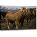 World Menagerie 'Iceland, Jokulsarlon an Icelandic Horse Yawning' Photographic Print on Wrapped Canvas in Brown | 21 H x 32 W x 1.5 D in | Wayfair