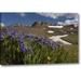 Millwood Pines 'Colorado, San Juan Mts Flowers on Cinnamon Pass' Photographic Print on Wrapped Canvas in Brown/Green/Indigo | Wayfair