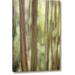 Ebern Designs 'Washington, San Juan's Abstract Woodland Scene' Graphic Art Print on Wrapped Canvas Metal in Brown/Green | Wayfair