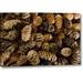 Millwood Pines 'Pile of Female Pine Cones' Photographic Print on Wrapped Canvas in Black/Brown | 10 H x 16 W x 1.5 D in | Wayfair