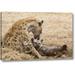 World Menagerie Tanzania, Ngorongoro Spotted Hyena Licking Baby by Dennis Kirkland - Photograph Print on Canvas Canvas | Wayfair