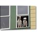 World Menagerie Ak, Ketchikan Dogs by Don Paulson - Wrapped Canvas Photograph Print Canvas in Green/White | 16 H x 24 W x 1.5 D in | Wayfair