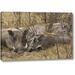 World Menagerie Tanzania, Ngorongoro Warthog Family Sleeping by Dennis Kirkland - Photograph Print on Canvas in Gray | Wayfair