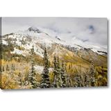 Millwood Pines 'Co, Uncompahgre Nf Mountain & Aspens' Photographic Print on Wrapped Canvas Metal in Blue/Gray/Green | 32 H x 21 W x 1.5 D in | Wayfair