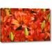 Bay Isle Home™ 'Holland, Lisse Orange Lilies' Photographic Print on Wrapped Canvas Metal in Red/Yellow | 21 H x 32 W x 1.5 D in | Wayfair