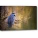 Winston Porter Wa, Seabeck Great Blue Heron at Edge of Pond by Don Paulson - Photograph Print on Canvas Canvas | 10 H x 16 W x 1.5 D in | Wayfair