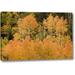 Millwood Pines 'Co, Uncompahgre Nf Grove of Orange-Tinged Aspens' Photographic Print on Wrapped Canvas in Green/Yellow | Wayfair