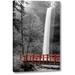 Millwood Pines 'Silver Falls' Photographic Print on Wrapped Canvas in Black/Green/Red | 16 H x 11 W x 1.5 D in | Wayfair