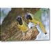 World Menagerie TX, Mated Pair Of Green Jays Perched In A Tree by Dave Welling - Photograph Print on Canvas in Brown/Green/Yellow | Wayfair