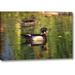 Millwood Pines 'USA, California, San Diego, Lakeside Wood Ducks' Photographic Print on Wrapped Canvas in Green | 11 H x 16 W x 1.5 D in | Wayfair