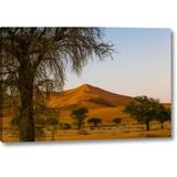 World Menagerie 'Namibia, Namib-Naukluft NP Trees & Sand Dune' Photographic Print on Wrapped Canvas in Blue/Green/Orange | Wayfair