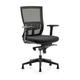 Symple Stuff Aliceville Ergonomic Mesh Task Chair Upholstered/Mesh/Metal | 38.5 H x 27 W x 19 D in | Wayfair 340B396B753044718295F64A12AFF351