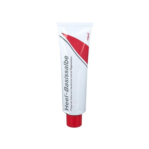 HEEL-Basissalbe 100 g Salbe