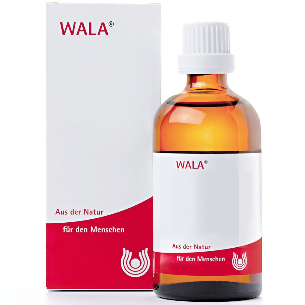 Prunus Spinosa E floribus W5% Oleum 100 ml Öl Image