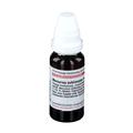 Mercurius Sublimatus corrosivus D 12 Dilution 20 ml