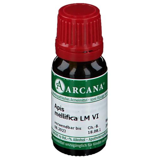 Apis Mellifica LM 6 Dilution 10 ml