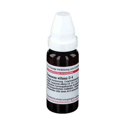 Dioscorea Villosa D 4 Dilution 20 ml Image