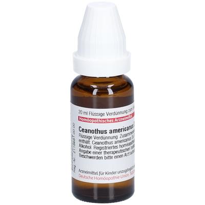 Ceanothus Americanus D 4 Dilution 20 ml Image
