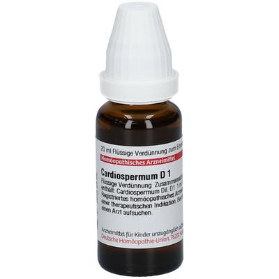 Cardiospermum D 1 Dilution 20 ml Image