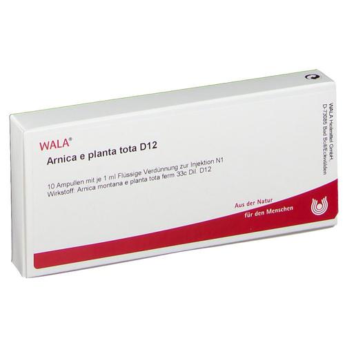 Arnica E Planta tota D 12 Ampullen 10x1 ml