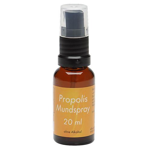 Propolis Mundspray 20 ml Spray