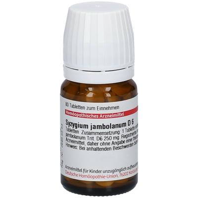 Syzygium Jambolanum D 6 Tabletten 80 St Image