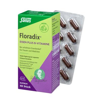Floradix Eisen plus B-Vitamine Kapseln 40 St Image