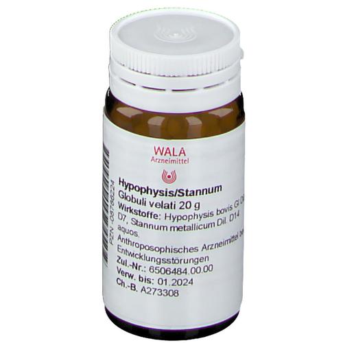 Hypophysis/Stannum Globuli 20 g