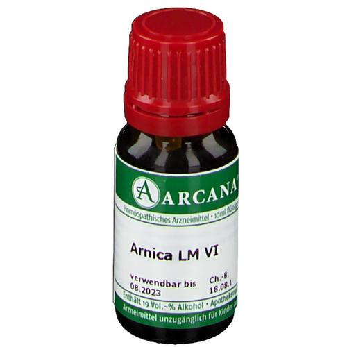 Arnica LM 6 Dilution 10 ml