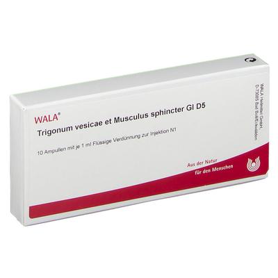 Trigonum vesicae et Musculus sphincter GL D 5 Amp. 10x1 ml Ampullen Image