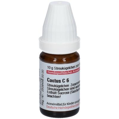 Cactus C 6 Globuli 10 g Image