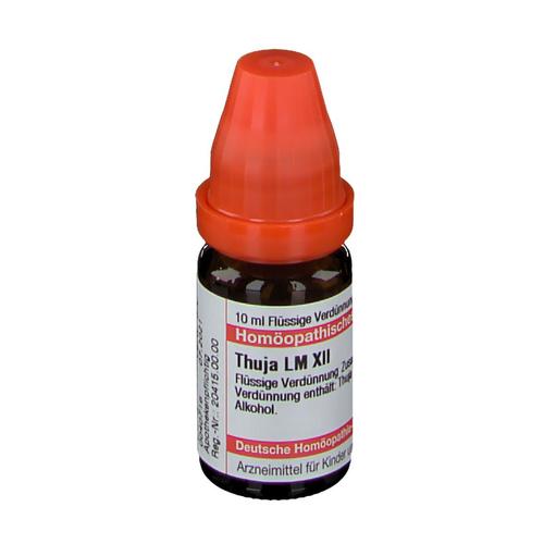 Thuja LM XII Dilution 10 ml