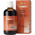 Propolis Aurica 18% Mundtropfen 100 ml Tropfen