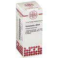 Hamamelis LM VI Dilution 10 ml