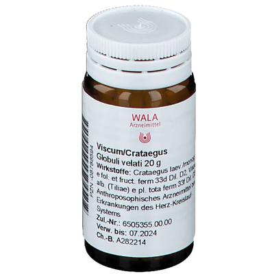 Viscum Crataegus Globuli 20 g Image