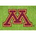 Minnesota Golden Gophers 67'' x 48'' Original Stencil Kit