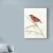 Charlton Home® 'Rustic Aviary IV' Acrylic Painting Print on Wrapped Canvas Metal in Gray/Red | 32 H x 24 W x 2 D in | Wayfair
