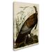 Bay Isle Home™ 'American Wild Turkey Cock' by John James Audubon Graphic Art Print on Wrapped Canvas in Brown/Green | 24 H x 16 W x 2 D in | Wayfair