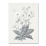 East Urban Home 'Neutral Botanical VI' Graphic Art Print on Wrapped Canvas in White/Black | 47 H x 35 W x 2 D in | Wayfair