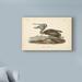 Bay Isle Home™ ' Pelican' Oil Painting Print on Wrapped Canvas Metal in Brown | 22 H x 32 W x 2 D in | Wayfair 961A884A1C1E4FB89C200F287C28D385