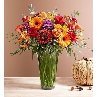 1-800-Flowers Seasonal Gift Delivery Garden Of Grandeur For Fall Large