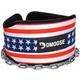 DMoose Dipping Belt with Chain For Pull Ups, Training, Weightlifting, Powerlifting and Bodybuilding Workouts, 36 Inches Heavy Duty Steel Lifting Chain, Comfortable Dip Belt With Neoprene Back Support