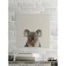 Harriet Bee 'Playful Koala' Photographic Print on Wrapped Canvas Canvas, Solid Wood in Brown | 12 H x 12 W x 1.5 D in | Wayfair