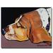 Trademark Fine Art 'Farley' Acrylic Painting Print on Canvas in Black/Brown | 26" H x 32" W x 2" D | Wayfair PS089-C2632GG