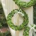 Greyleigh™ Javin Preserved 7" Wood Wreath in Green | 7 H x 7 W x 1 D in | Wayfair AGTG4557 43325857