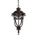 Astoria Grand Appalachian 1 - Bulb 20.5" H Outdoor Hanging Lantern Glass/Aluminium/Metal in Brown | 20.5 H x 9.38 W x 9.38 D in | Wayfair